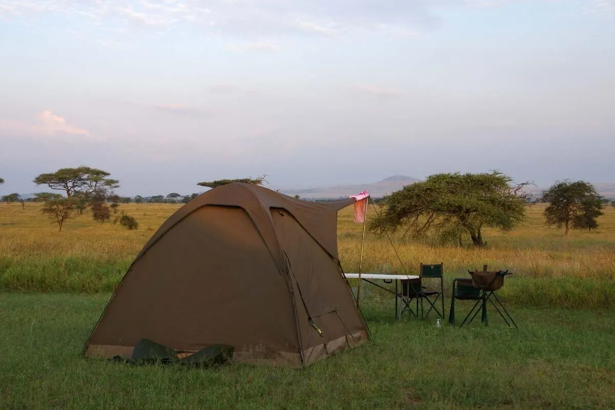 Budget Camping safari